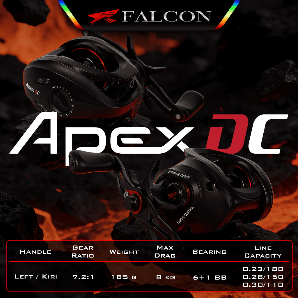 Reel BC Falcon APEX DC - Digital Control