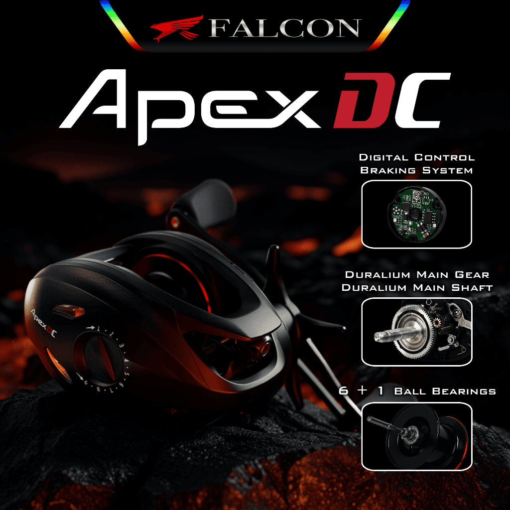 Reel BC Falcon APEX DC - Digital Control
